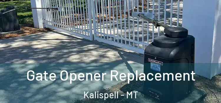 Gate Opener Replacement Kalispell - MT
