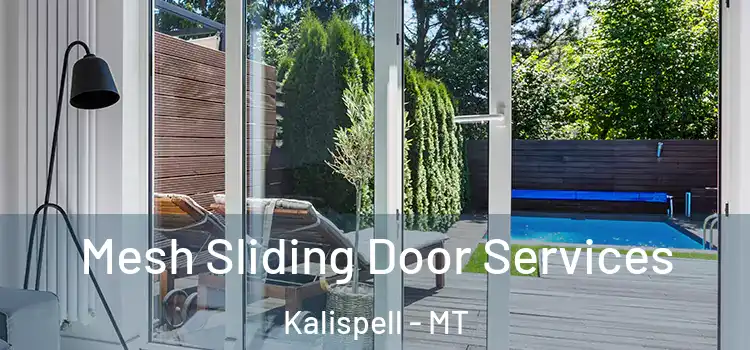 Mesh Sliding Door Services Kalispell - MT