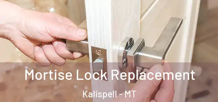 Mortise Lock Replacement Kalispell - MT